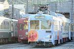 Dcim11833/DSC_8310