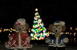 Dcim11837/DSC_2292