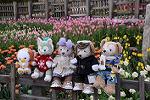 Dcim11847/DSC_0089