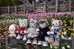 Dcim11847/DSC_0091