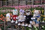 Dcim11847/DSC_0096