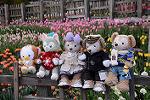 Dcim11847/DSC_0097