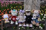 Dcim11847/DSC_0098