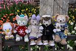 Dcim11847/DSC_0099