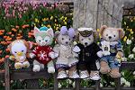 Dcim11847/DSC_0100