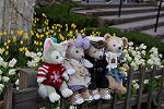 Dcim11847/DSC_0107