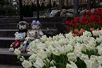 Dcim11847/DSC_0112