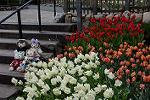 Dcim11847/DSC_0115