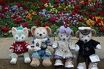 Dcim11848/DSC_0119