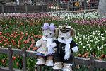 Dcim11848/DSC_0157