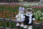 Dcim11848/DSC_0161