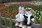 Dcim11848/DSC_0164