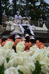 Dcim11848/DSC_0166