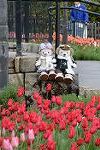 Dcim11848/DSC_0178