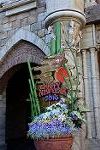 Dcim11854/DSC_0363