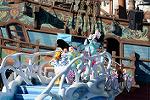 Dcim11856/DSC_0729
