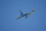 Dcim11859/DSC_1134