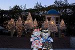 Dcim11862/DSC_1550