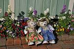 Dcim11864/DSC_3226