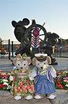 Dcim11865/DSC_3330