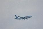 Dcim11869/DSC_2244