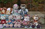 Dcim11874/DSC_3624