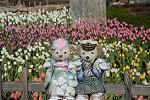 Dcim11875/DSC_2787
