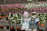 Dcim11875/DSC_2788