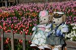 Dcim11875/DSC_2796