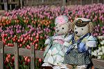 Dcim11875/DSC_2797