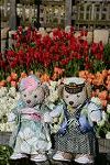 Dcim11875/DSC_2816
