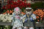Dcim11875/DSC_2821