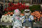 Dcim11875/DSC_2822