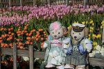 Dcim11875/DSC_2824