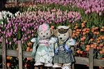 Dcim11875/DSC_2830