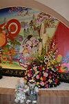 Dcim11882/DSC_3884