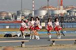 Dcim11894/DSC_4244