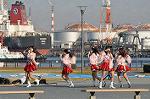 Dcim11895/DSC_4335