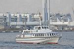 Dcim11895/DSC_4431
