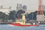 Dcim11896/DSC_4488