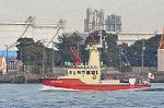 Dcim11896/DSC_4489