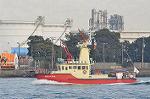Dcim11896/DSC_4490
