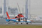 Dcim11896/DSC_4528