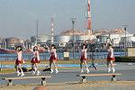 Dcim11897/DSC_5223