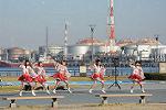 Dcim11897/DSC_5233