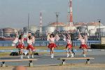 Dcim11897/DSC_5256