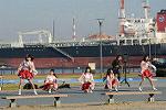 Dcim11897/DSC_5290