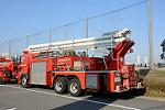 Dcim11898/DSC_5345