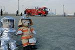 Dcim11899/DSC_5526
