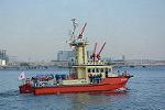 Dcim11899/DSC_5545
